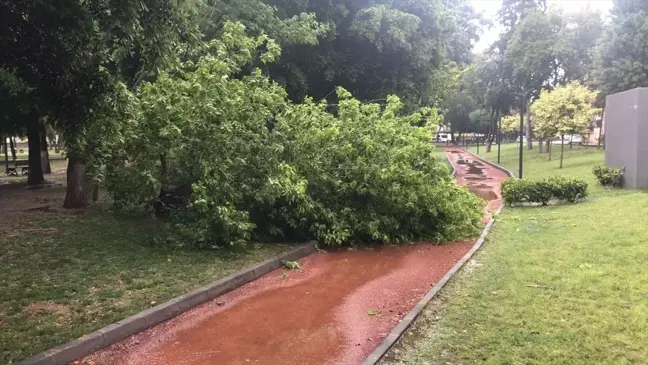 Mersin Tarsus'ta Sağanak ve Fırtına Hayatı Olumsuz Etkiledi
