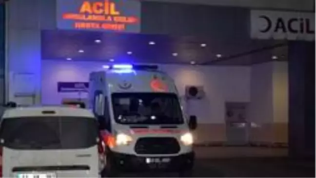 Son Dakika | 52 yaşındaki besici, tosun darbesi ile öldü