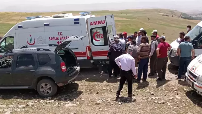 Kars'ta kestiği ağacın altında kalan kişi öldü