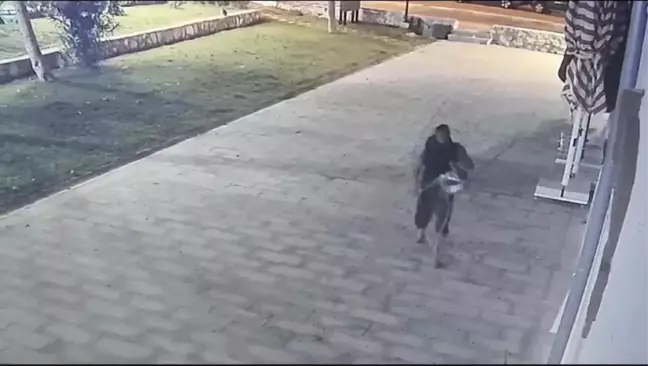 Kuşadası Belediyesi'nin Hizmet Binasının Bahçesindeki Led Ekranın Kabloları Çalındı