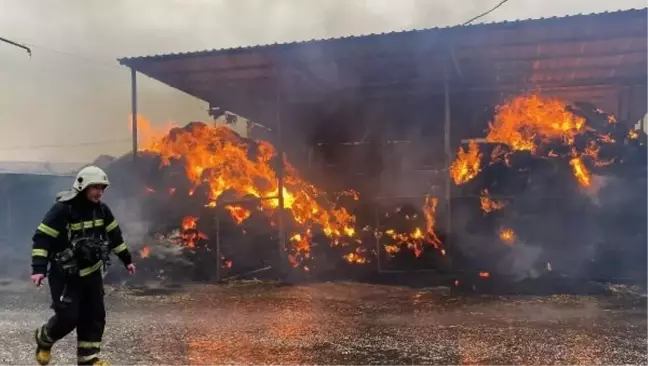 Yıldırım düşen ahırda 2 bin balya saman yandı