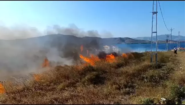 Avşa Adasında Çıkan Yangınlar Kontrol Altına Alındı