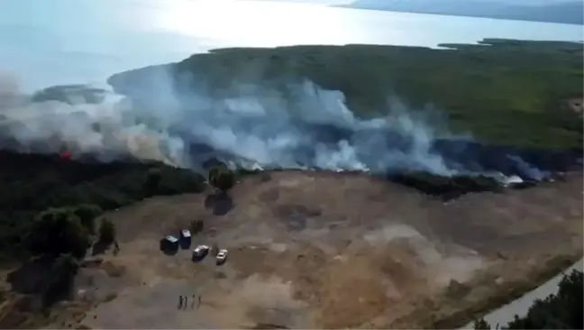 İznik Gölü Kenarındaki Sazlık Alanda Yangın Çıktı