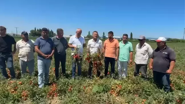 CHP Milletvekili Orhan Sarıbal, Bursa'da çiftçilerin mağduriyetine dikkat çekti