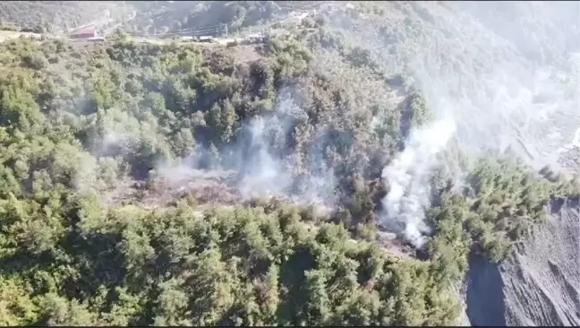 Zonguldak'ta deniz kenarındaki fındık bahçesinde yangın çıktı