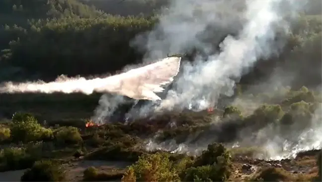 Antalya'da Orman Yangını Kontrol Altına Alındı