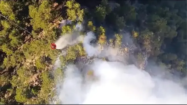 Denizli'deki Orman Yangınında Havadan Etkili Mücadele