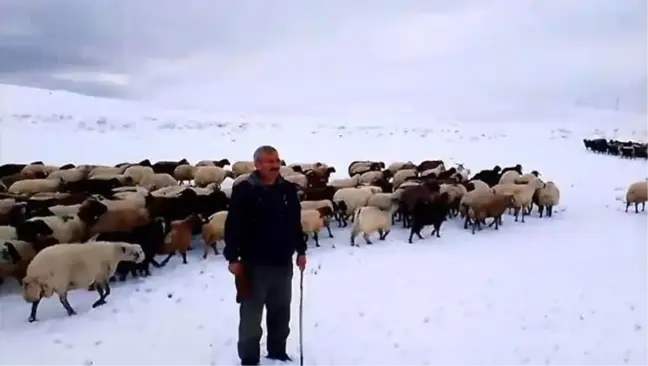 Bitlis'te Kar Yağışı Besicileri Zor Durumda Bıraktı