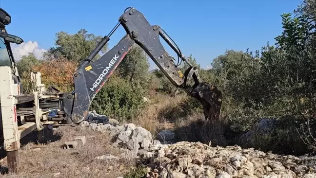 Tarsus'ta Yem Tedarik Sorunu, 800 Tavuk Telef Oldu