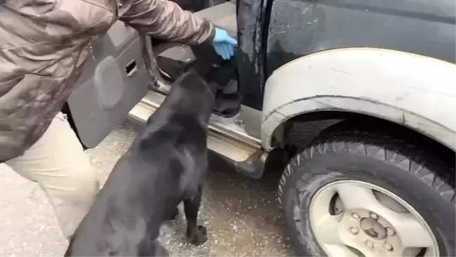 Samsun'da Narkotik Köpeği Tony Uyuşturucu Buldu