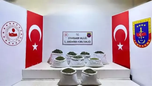 Diyarbakır'da 350 bin 620 kök Hint keneviri ve skunk bitkisi, 121 kilo esrar ele geçirildi