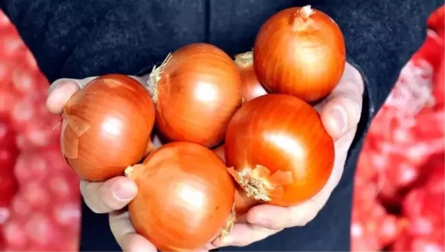 MasterChef Soğan çorbası tarifi! En güzel soğan Çorbası tarifi! Soğan Çorbası tarifi nasıl yapılır? Soğan Çorbası için malzemeler!