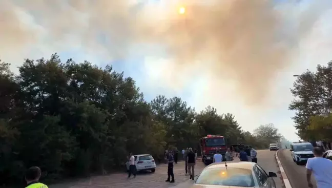 Samsun'da üniversite kampüsünde orman yangını çıktı