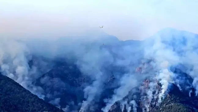 Denizli'de Orman Yangını Üçüncü Gününe Girdi