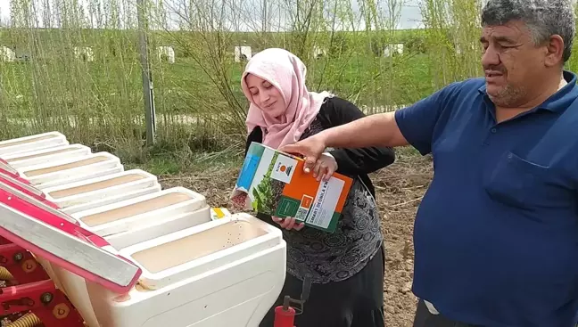 Emel Sağırkaya: Kadınların Azmi Tarımda Güç Kazandırıyor
