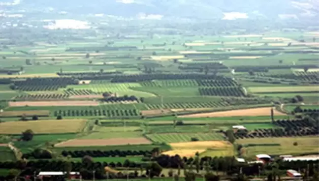 Barış;