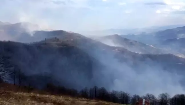 Trabzon'un Dernekpazarı ilçesindeki örtü yangınları devam ediyor