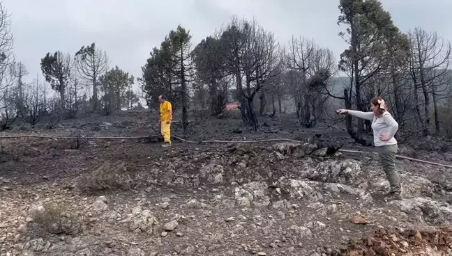 Balıkesir'deki Orman Yangınına Havadan Müdahale Devam Ediyor