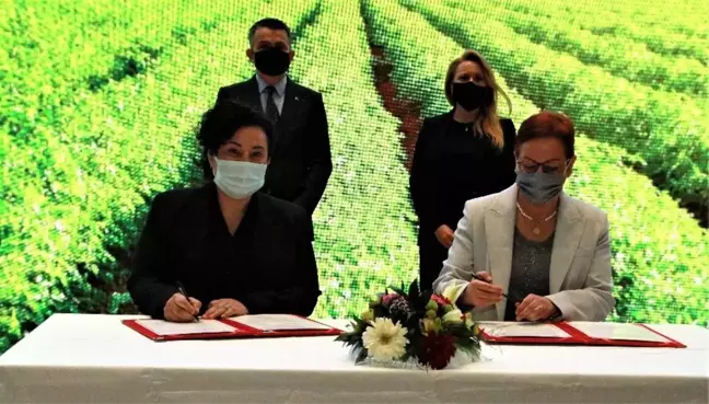 Kız Kardeşim Projesi 2021'de kadınları girişimciliğe hazırlayacak