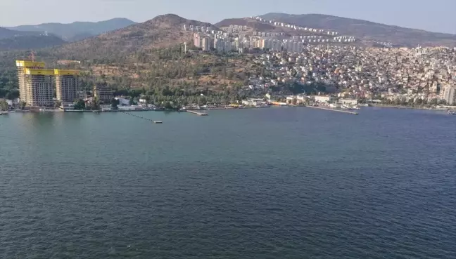 İzmir Körfezi'ndeki Balık Ölümleri Plankton Artışından Kaynaklanıyor