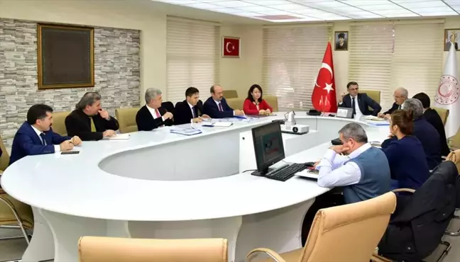 Tokat'ta 240 bin ceviz fidanı dikilecek