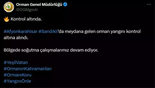 Afyonkarahisar Sandıklı'da çıkan orman yangını kontrol altına alındı