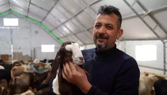 Emekli Memur Kırıkkale'de Hayvancılığa Geçiş Yaptı