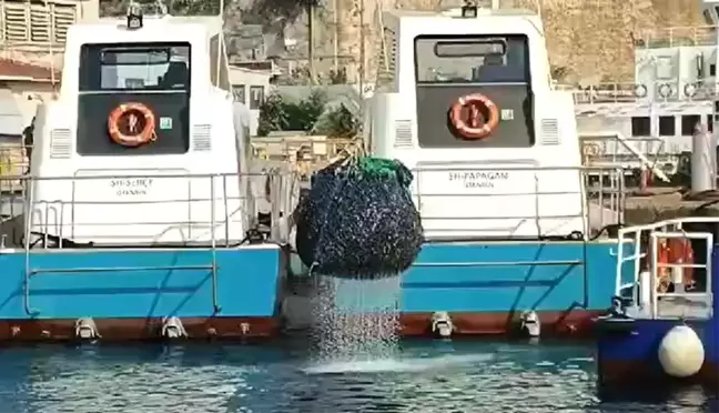 İstanbul Boğazı'nda Yasa Dışı Midye Avcıları Yakalandı