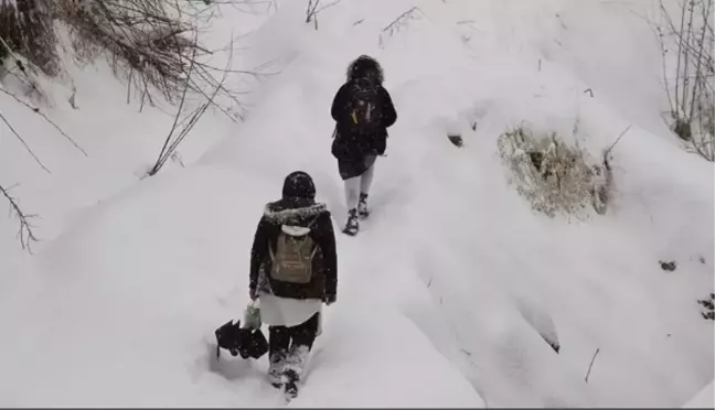 Tunceli okullar tatil mi? 26 Kasım Salı Tunceli'de okul yok mu (Valilik Açıklaması)?