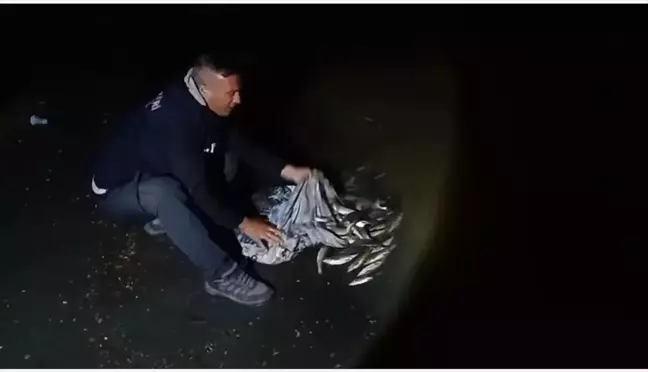 Van'da Kaçak İnci Kefali Avına 59 Bin Lira Ceza
