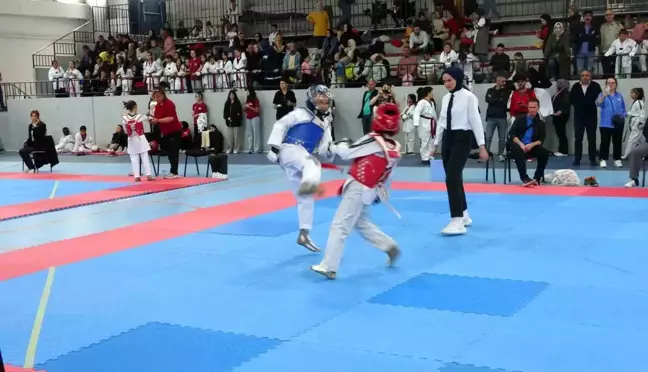 Kütahya'da Minikler Taekwondo Yarışmaları Coşkuyla Gerçekleşti