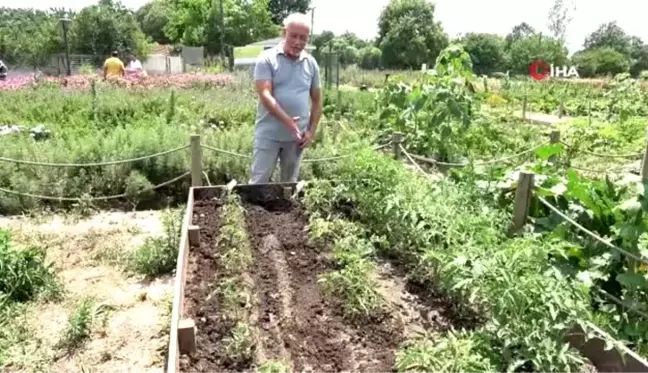 Birleşmiş Milletler gibi bostan bahçesi...Farklı ülkelerin kendine has bitkileri bu bahçede...