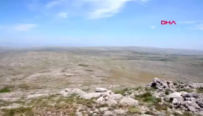 İZMİR Egeli akademisyen keşfettiği bitkiye anne ve babasının adını verdi