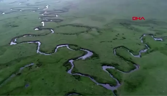 ORDU Çişeli Şelalesi'ne ziyaretçi akını