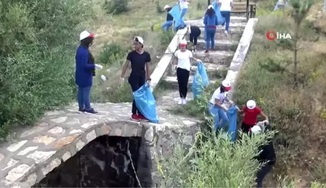 İşinden istifa etti, dünya barışı için Bitlis'te fidan dikti