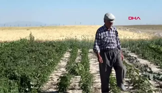 KONYA Yaşlı çiftin hayallerini yıktılar