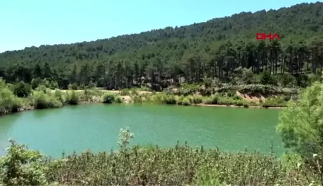 AYDIN Çam ormanı içinde saklı cennet Belenova Mesire Alanı