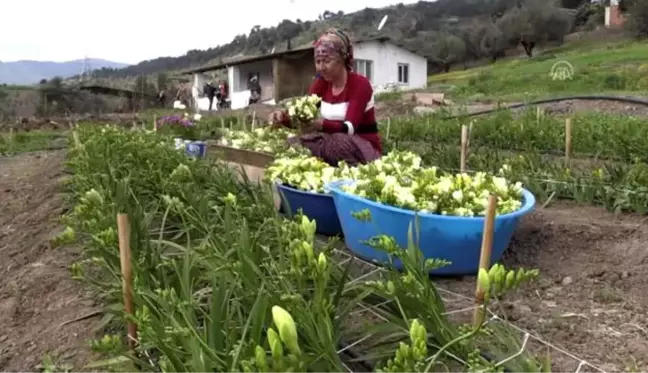 Rengarenk çiçekler kadınların elinde açıyor