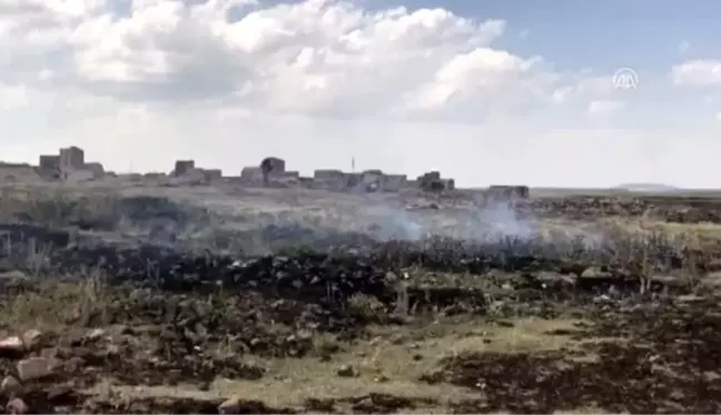 Ani Örenyeri'nde ot yangını - KARS