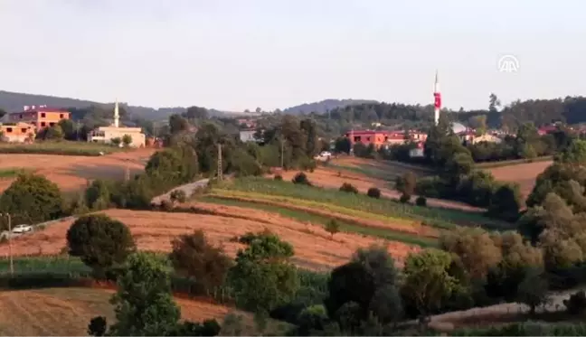 Bitlis'teki terör saldırısı