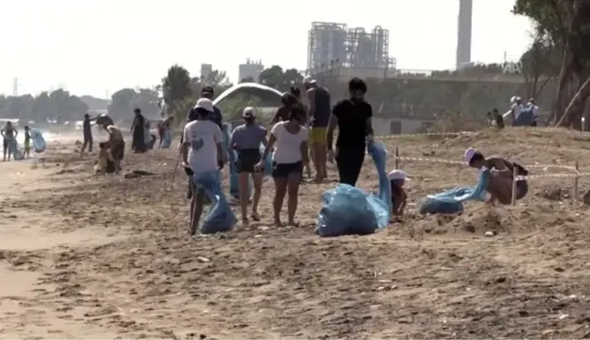 Deniz kaplumbağalarının yuvalama alanı temizlendi