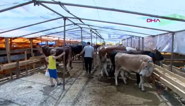 BURSA BÜYÜKŞEHİR BELEDİYESİ KURBAN PAZARLARINDA İLAÇLAMA YAPTI