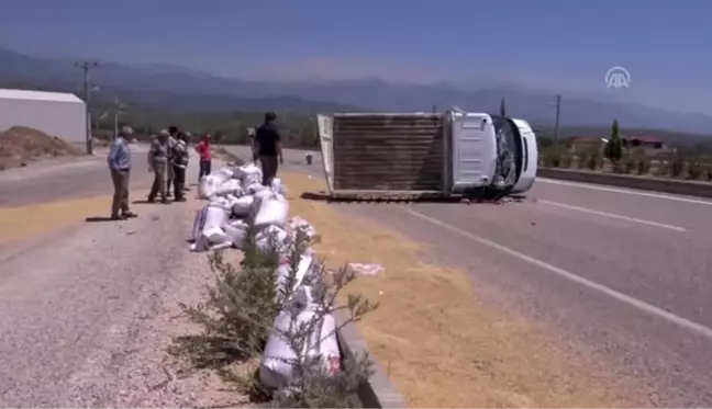 Arpa yüklü kamyonet devrildi: 3 yaralı