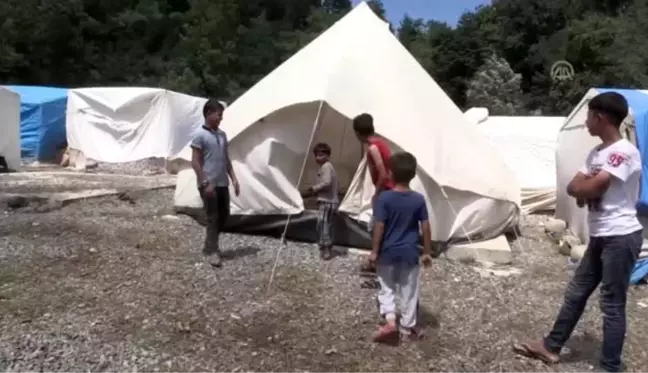 Mevsimlik tarım işçileri fındık hasadından umutlu