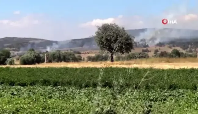 Sandıklı'nın Akharım beldesinde orman yangını