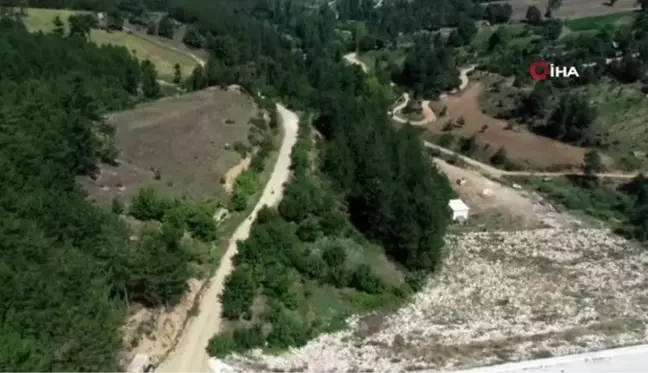 Bu tarladaki sebze ve meyveler 22 yıldır ücretsiz