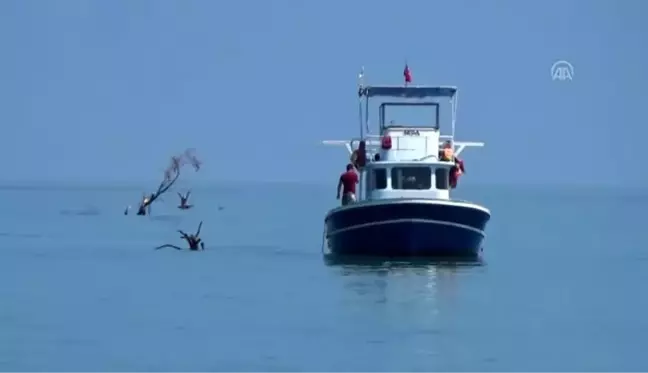 Akçakoca'da selde denize sürüklenen ağaç parçaları temizleniyor