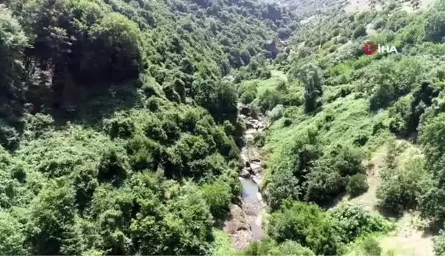 Samsun'un en acı günü... Boğularak ölen kuzenler gözyaşlarıyla toprağa verildi