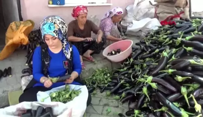 AYDIN Küçük bir mahallede kuruyor, dünya sofralarını süslüyor