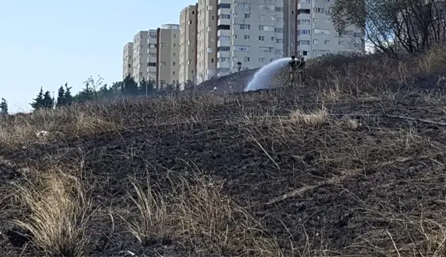 Beylikdüzü'nde otluk alanda yangın: 4 köpek telef oldu